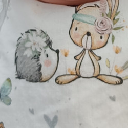 Conejo y Erizo