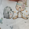 Conejo y Erizo
